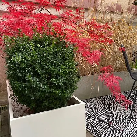 Apartment Design-apartment Close To Isar River Area - Centrally Located