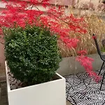 Appartement Design-apartment Close To Isar River Area - Centrally Located