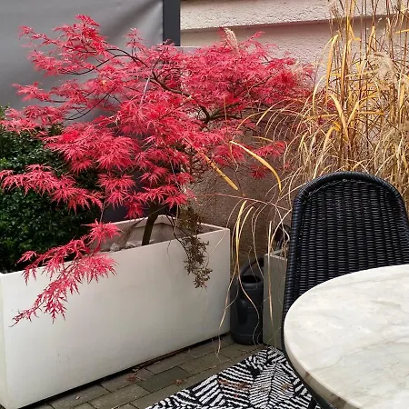 Design-apartment Close To Isar River Area - Centrally Located Lägenhet *