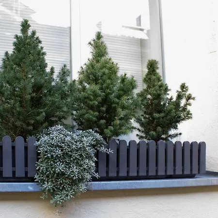 Design-apartment Close To Isar River Area - Centrally Located Lägenhet München