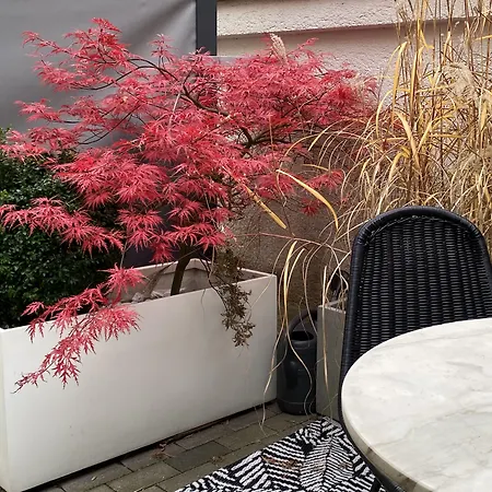 Design-apartment Close To Isar River Area - Centrally Located * Munich