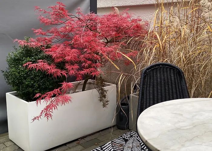 Design-apartment Close To Isar River Area - Centrally Located * München